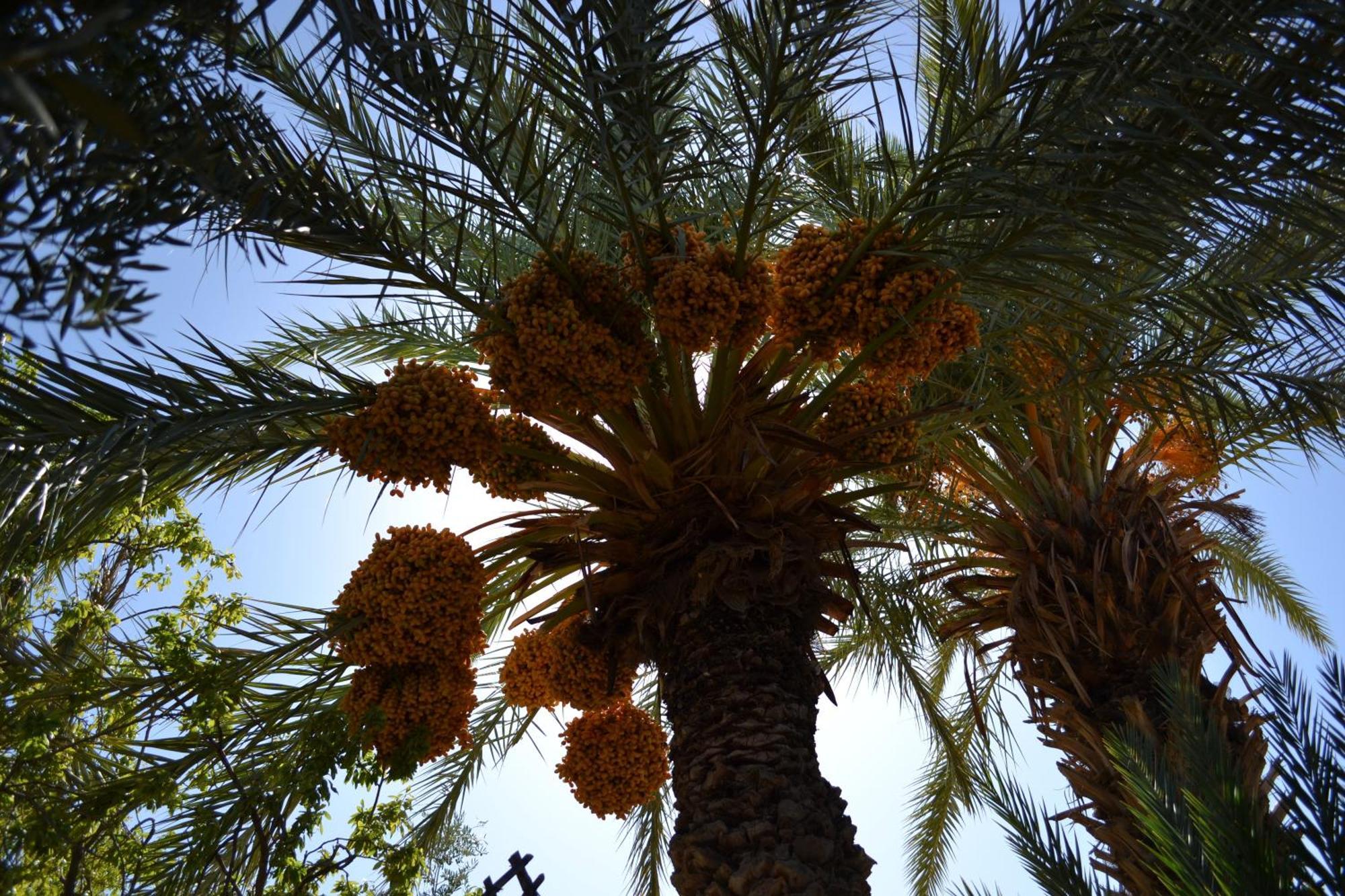Bed and Breakfast Dar Lorkam Skoura Exterior foto