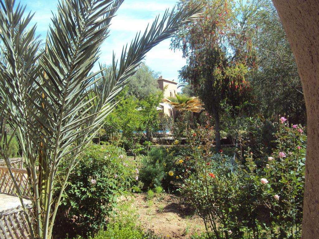 Bed and Breakfast Dar Lorkam Skoura Exterior foto