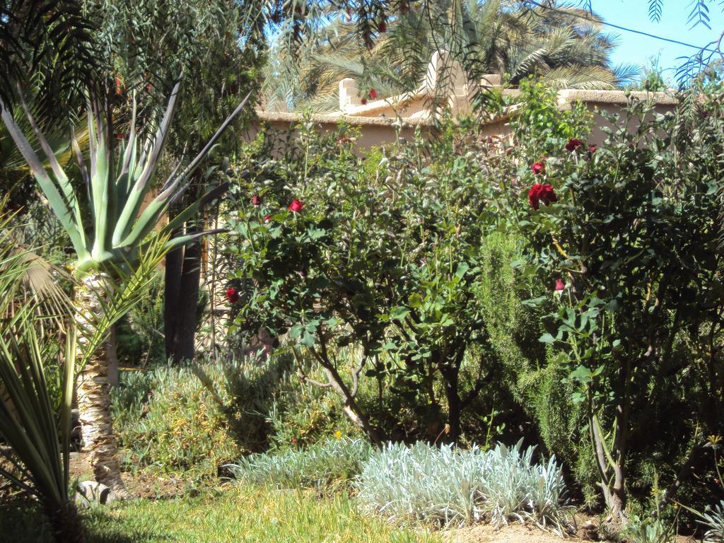 Bed and Breakfast Dar Lorkam Skoura Exterior foto