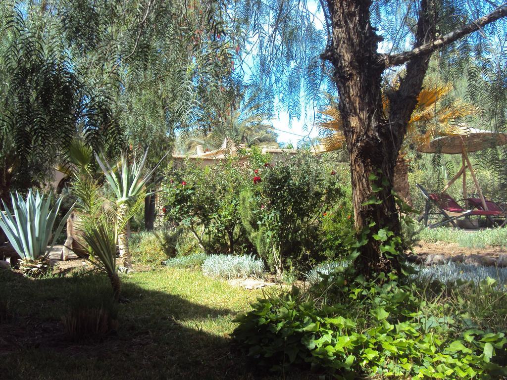 Bed and Breakfast Dar Lorkam Skoura Exterior foto