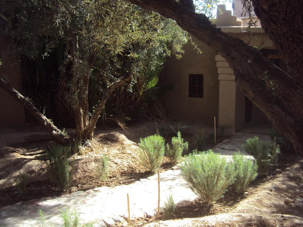 Bed and Breakfast Dar Lorkam Skoura Exterior foto